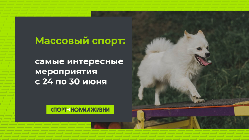 Массовый спорт: 24-20 июня