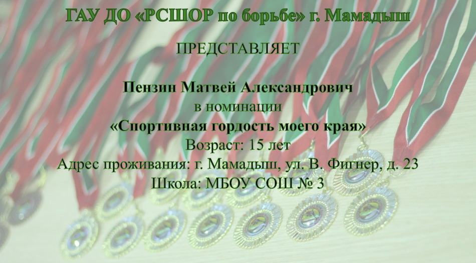 Пензин Матвей, Татарстан, г. Мамадыш, Спортивная гордость моего края